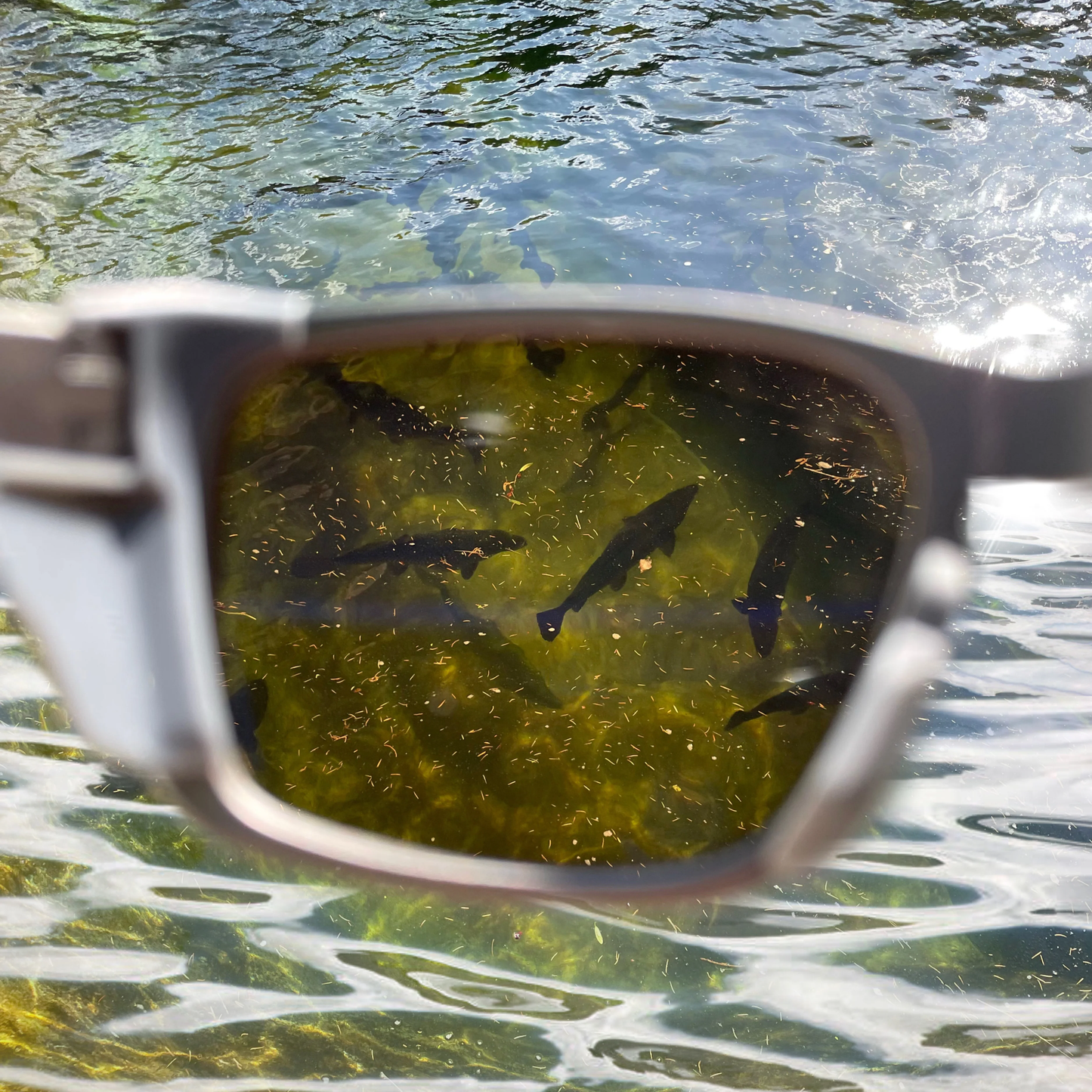 Рибарски очила DeepSee™