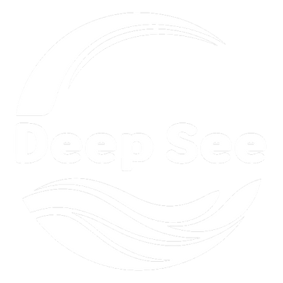 DeepSee